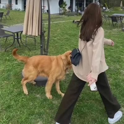 世界上最伟大的父亲